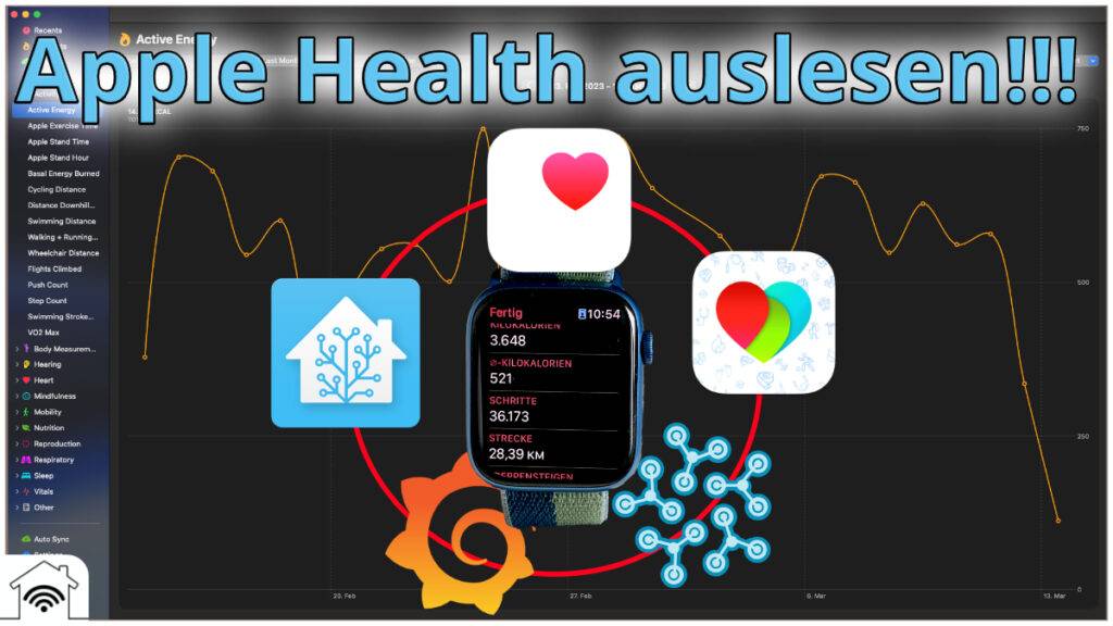 Apple Health Auto Export